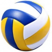 Мячи для волейбола - Оптовые поставки. Производсво. Комплексное снабжение учебных заведений. 
