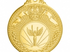 Медаль Золото 1  место  (D-50 мм, D-25 мм, s-2 мм) - Оптовые поставки. Производсво. Комплексное снабжение учебных заведений. 