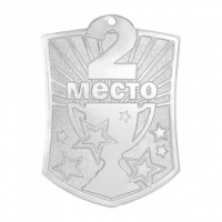 Медаль Серебро 2  место Медаль  (51х70мм, s-2,5мм) - Оптовые поставки. Производсво. Комплексное снабжение учебных заведений. 