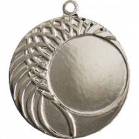Медаль Серебро 2  место  (D-40мм)  - Оптовые поставки. Производсво. Комплексное снабжение учебных заведений. 