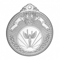 Медаль Серебро 2  место  (D-50 мм, D-25 мм, s-2 мм)  - Оптовые поставки. Производсво. Комплексное снабжение учебных заведений. 