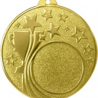 Медаль Звезды Золото 1место   (D-50 мм, D-25 мм, s-2 мм) - Оптовые поставки. Производсво. Комплексное снабжение учебных заведений. 