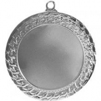 Медаль  Серебро 2 место  (D-70мм, D-50мм, s-2,5мм) - Оптовые поставки. Производсво. Комплексное снабжение учебных заведений. 
