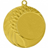 Медаль Золото 1  место  (D-40мм)  - Оптовые поставки. Производсво. Комплексное снабжение учебных заведений. 