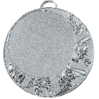 Медаль  Серебро 2  место   (D-70 мм, D-50 мм, s-3 м) - Оптовые поставки. Производсво. Комплексное снабжение учебных заведений. 